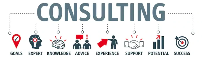 technology and business consulting