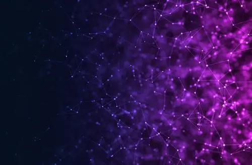 Fabric Connect